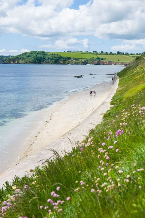 Cornwall Falmouth, Castle Beach, Falmouth Cornwall, Cornwall Coast, Sea Shanties, Sandy Shores, Falmouth, Crystal Blue, Exeter