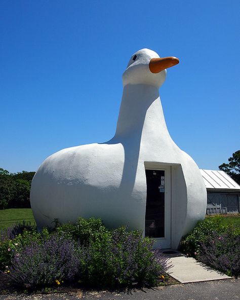 The Big Duck by archidose, via Flickr Big Duck, Duck House, Architecture Books, Famous Landmarks, Environment Design, Some Girls, Cute Toys, Long Island, Park Slide