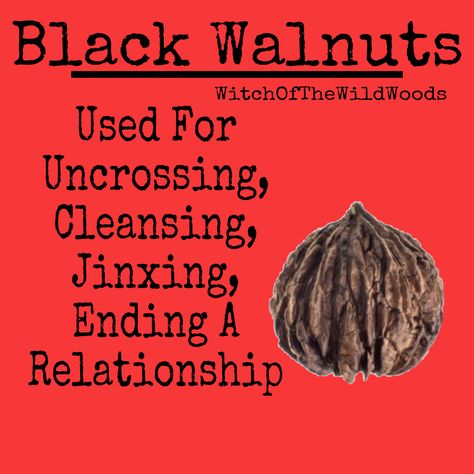 WitchOfTheWildWoods Black Walnut Spiritual Bath, Herb Magick, Kitchen Witchcraft, Hearth Witch, Flower Symbolism, Winter Solstice Celebration, Witch Things, Magical Gifts, Magickal Herbs