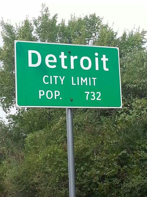 Super Old Detroit City Limits Sign Detroit Aesthetic, City Signs, Catching Flights, America Trip, Oregon Waterfalls, City Sign, Detroit City, Evergreen Forest, Type Shi