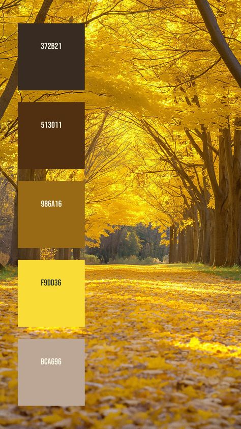 Colors:
372B21
513011
986A16
F9DD36
BCA696 Golden Hour Colour Palette, Tree Color Palette, Fall Leaves Color Palette, Autumn Forest Color Palette, Sun Set Pallete, Autumn Leaves Colour Palette, Fall Color Pallet, Light Filters, Hex Color Palette