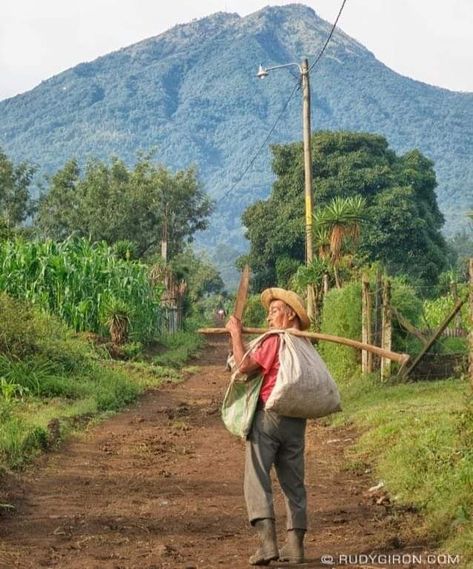 Honduras Culture, Coffee Landscape, Miami Beach Pictures, El Salvador Culture, Case Creole, Cuba Photography, Puerto Rico Art, Maize, Country Art