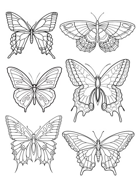 Butterfly Simple Outline, Butterfly Drawing Pattern, Single Line Butterfly Drawing, Line Drawings Of Butterflies, Stencil Butterfly Tattoo, Butterfly Illustration Simple, Half Butterfly Drawing, Butterflies To Draw, Butterfly Outline Printable