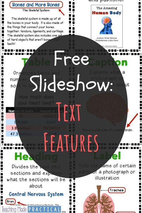 Nonfiction Text Features Activities, Teaching Nonfiction Text Features, Text Feature Anchor Chart, Text Features Activities, Text Features Worksheet, Teaching Nonfiction, Reading Questions, Boy School, Nonfiction Text Features