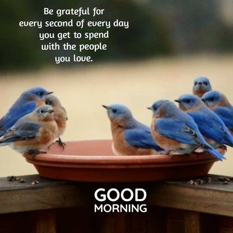 Good Morning Quotes With Birds, Good Morning Quotes Friendship, Good Morning Wishes Friends, Good Morning Massage, Sweet Morning, Lovely Good Morning Images, Good Morning Beautiful Gif, Quotes Encouragement, Cute Good Morning Images