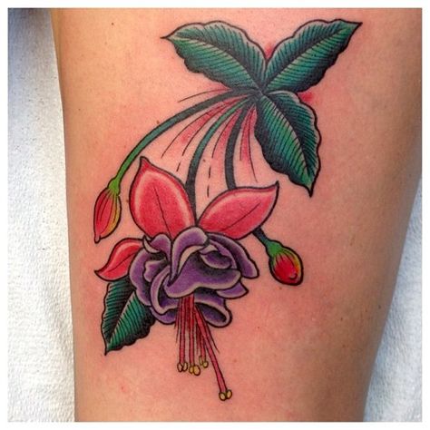 Fuschia Tattoo, Fuchsia Tattoo, Vintage Flower Tattoo, Tattoo Pictures, Magenta Flowers, Fuchsia Flower, Fuchsia Flowers, Tiny Tattoo, Bee Tattoo