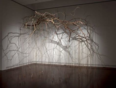 Branch Art, Mobile Art, Scenic Design, Australian Art, Museum Of Contemporary Art, Into The Woods, Sculpture Installation, Art Installation, Australian Artists