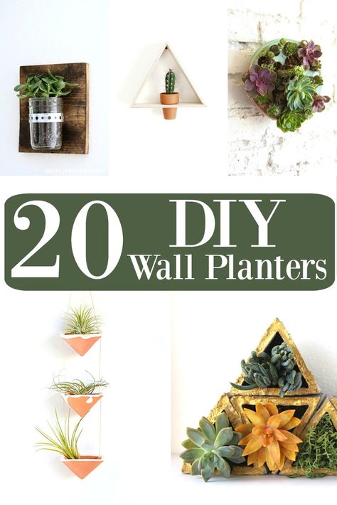 20 DIY Wall Planters ~ DivineLifestyle.com Plant Wall Diy, Mason Jar Succulents, Diy Wall Planter, Easy Diy Home Projects, Succulent Wall Planter, Mason Jar Planter, Succulent Frame, Greenery Flowers, Planter Diy