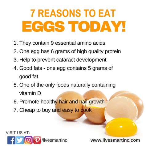 7 Reasons to Eat Eggs Today!  www.livesmartinc.com World Egg Day, Benefits Of Eating Eggs, Health Benefits Of Eggs, Egg Benefits, Eating Eggs, Food Info, Healing Food, Food Facts, Good Fats