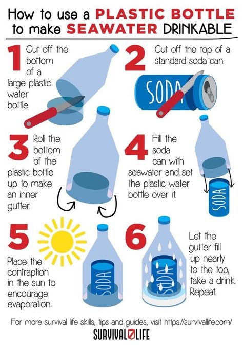 Many people around the world have limited access to clean drinking water. This can be attributed to several factors including poor infrastructure and lack of safe drinking water sources. In such conditions, it’s important to find ways of making sea water drinkable. However, it should be noted that this method only works for small quantities […] The post 6 Simple Steps On How To Make Sea Water Drinkable Using Plastic Bottle first appeared on Daily Infographic. Survival Skills Emergency Preparedness, Emergency Survival Kit, Potable Water, Survival Skills Life Hacks, Emergency Preparedness Kit, Astuces Diy, Emergency Preparation, Survival Life Hacks, Apocalypse Survival