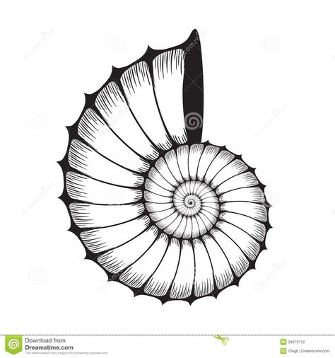 Shell Stock Illustrations, Vectors, & Clipart – (20,284 Stock ... Swirl Symbol, Nautilus Tattoo, Seashell Tattoo, Organic Objects, Shell Graphic, Shell Tattoo, Shell Drawing, Seashell Tattoos, Shell Tattoos