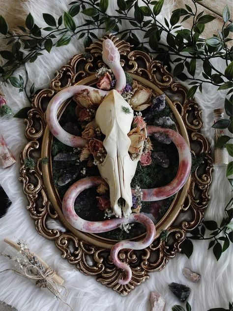 Repurposed Animal Bones, Deer Skull With Crystals, Skull Collection Display, Skull Taxidermy Art, Deer Bone Art, Fairy Taxidermy, Oddities Decor Diy, Bone Art Diy, Bones Witchcraft