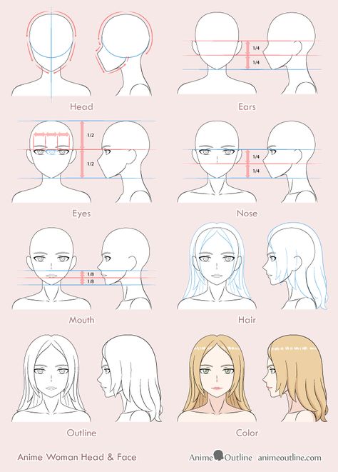 Anime woman drawing 8 steps Anime Head Proportions, Anime Face Proportions, Draw Hairstyles, Female Drawings, Hairstyle Drawing, Hairstyles Anime, Head Female, Anime Face Drawing, Female Face Drawing