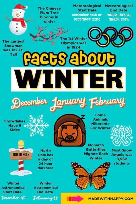 Facts About Winter Snow Facts, December Solstice, Holiday Facts, Winter Printables, Gorgeous Images, February Holidays, Fun Facts For Kids, Ss 2024, Start Of Winter