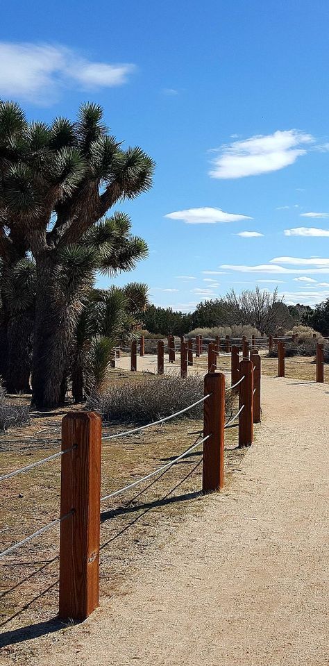 Prime Desert Woodland Preserve in Lancaster Hollywood Sign Hike, Beautiful Places In Usa, Lancaster California, Southern California Travel, California Trail, Antelope Valley, Dirt Biking, California Hikes, Travel Nurse