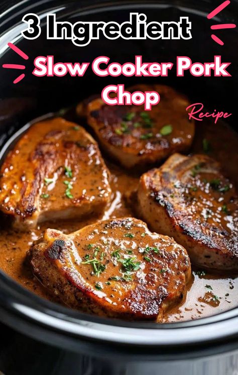 Show Cooker Pork Chops, Crockpot Barbeque Pork Chops, Mediterranean Pork Chops Crock Pot, Pork Chop Dump Meals Crock Pot, Bone In Pork Chops In Crockpot, Crockpot Pork Steaks Slow Cooker, Easy Pork Loin Crock Pot Recipes, Pork Sirloin Chops Recipes Slow Cooker, Bone In Pork Chop Crockpot Recipe