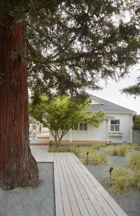 Wood Pathway, Pathway Ideas, Wood Walkway, Outdoor Walkway, Walkways Paths, Wooden Walkways, Minimalist Garden, Home Landscaping, Garden Pathway