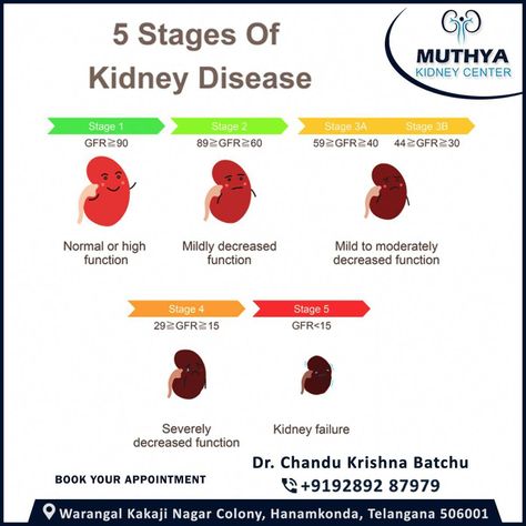 Remedies For Kidney Pain, Kidney Function Test, Kidney Pain, Creatinine Levels, Yoga Information, Homemade Facial Mask, Kidney Function, Renal Diet, Chronic Kidney