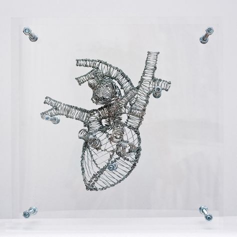 Federico Carbajal   Wire Anatomy  ANATOMICAL NO-BODY (HEART)  Galvanized wire, stainless steel and acrylic  18” x 6” x 18”  2010 Drátěná Socha, Human Body Art, Anatomy Sculpture, Famous Sculptures, Art Wire, Colossal Art, Modern Crafts, Anatomical Heart, Human Heart