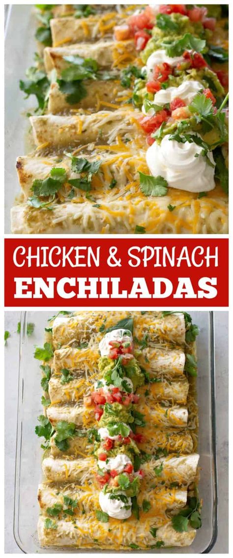 Beef And Spinach Enchiladas, Spinach Chicken Enchilada Recipe, Chicken Mushroom Enchiladas, Spinach Enchiladas Joanna Gaines, The Girl Who Ate Everything Recipes, Spinach Enchilada Recipe, Mediterranean Enchiladas, Rotisserie Chicken Spinach Recipes, Spinach And Cheese Enchiladas