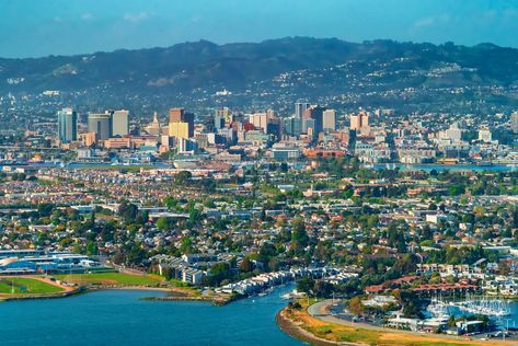 California Cities, San Francisco Itinerary, Oakland Hills, California Life, Hidden Forest, Hills And Valleys, Redwood Tree, Redwood Forest, Oakland California