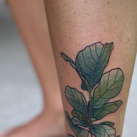 Fiddle Leaf Tree Tattoo, Fiddle Leaf Tree, Fiddle Leaf, Fiddle Leaf Fig, August 28, Tree Tattoo, Big Tattoo, I Am Happy, One Color