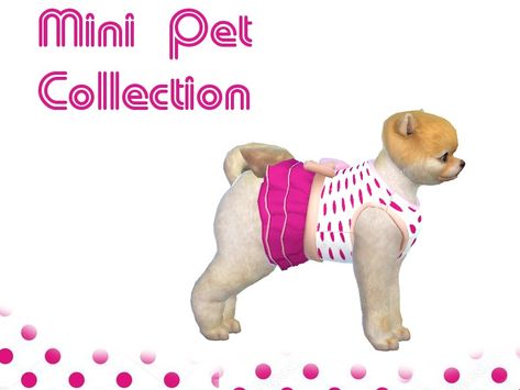 Cute dress for sims pet.  Found in TSR Category 'Sims 4 Dogs Accessories' Clothes The Sims 4, Sims Pets, Large Dog Sweaters, Dogs Accessories, The Sims 4 Pc, Cc Furniture, Mini Dog, Custom Dog Collars, Mini Dogs