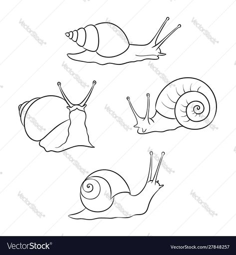 Snail Wood Burning, Snail Embroidery Pattern, Simple Snail Drawings, Sea Snail Drawing, Easy Snail Drawings, Snail Line Art, Snail Line Drawing, Bug Outlines, Snail Drawing Illustrations