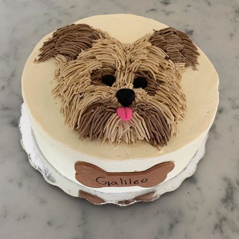 Cake Designs For Dogs, Dog Cake Decoration, Dog Cakes For Kids, Yorkie Cake, Dog Cake Design, Dog Lover Cake, Zoe Cake, Puppy Birthday Cakes, Succulent Cake