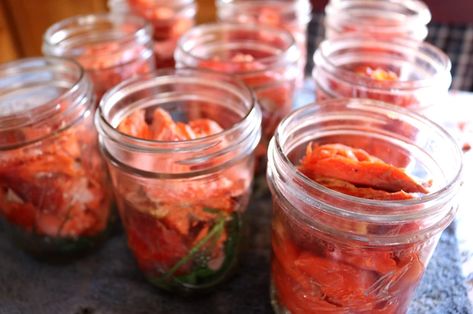 Canned Smoked Salmon Canned Smoked Salmon, Smoked Salmon Brine, Canned Fish Recipes, Juvenile Bald Eagle, Canned Salmon Recipes, Canned Fish, Pressure Canning Recipes, Smoked Salmon Recipes, Can Salmon