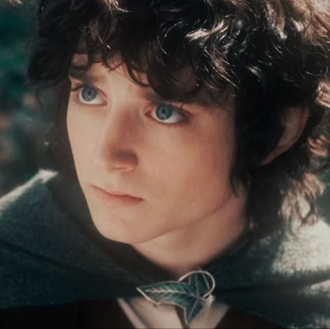 Frodo Aesthetic, Lord Of The Rings Tumblr, Lotr Trilogy, Lotr Cast, Little Do You Know, Ring Icon, The Hobbit Movies, The Fellowship Of The Ring, Frodo Baggins