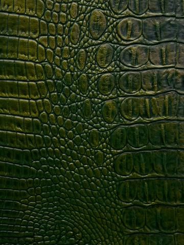 Leaf Vector, Catty Noir, Texture Inspiration, Mermaid Aesthetic, Green Photo, Color Inspo, Leather Products, Leather Texture, Animal Skin