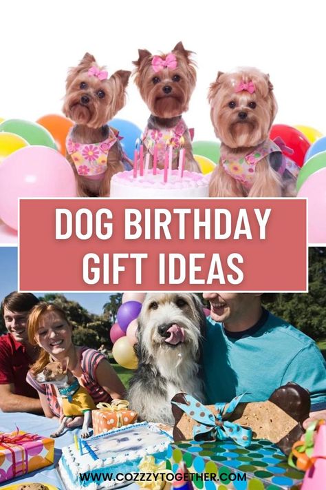 Dog Birthday Present Ideas Dog Birthday Presents, Dog's Birthday, Birthday Present Ideas, Dog Birthday Gift, Good Birthday Presents, Present Ideas, Healthy Dog Treat Recipes, Dog Treat Recipes, Dog Birthday