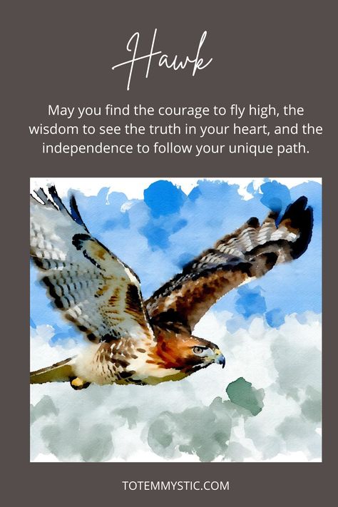 Soar confidently, gaze forward, and ascend courageously, guided by the spirit of the Hawk. #spirit animal #spiritual meaning #totem animal #power animal Hawk Quotes, Hawk Meaning, Hawk Symbolism, Hawk Spirit Animal, Hawk Spirit, Spiritual Animals, Totem Animal, Spiritual Animal, Angel Signs