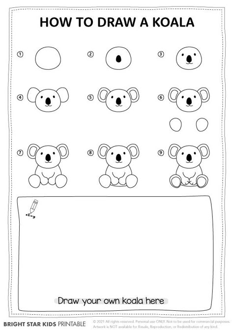 Draw Koala Easy, How To Draw Australian Animals, Koala Party Ideas, How To Draw A Koala, Koala Activities, Koala Drawing Easy, Draw Koala, Cute Koala Drawing, Draw A Koala