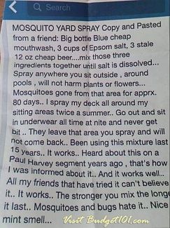 Vanquish Mosquitoes from your Yard for 2 Months with this simple DIY Recipe from Paul Harvey Homemade Mosquito Spray, Mosquito Yard Spray, Diy Bug Spray, Mosquito Spray, Cheap Beer, Insect Spray, Mosquito Trap, Bug Killer, Bug Control