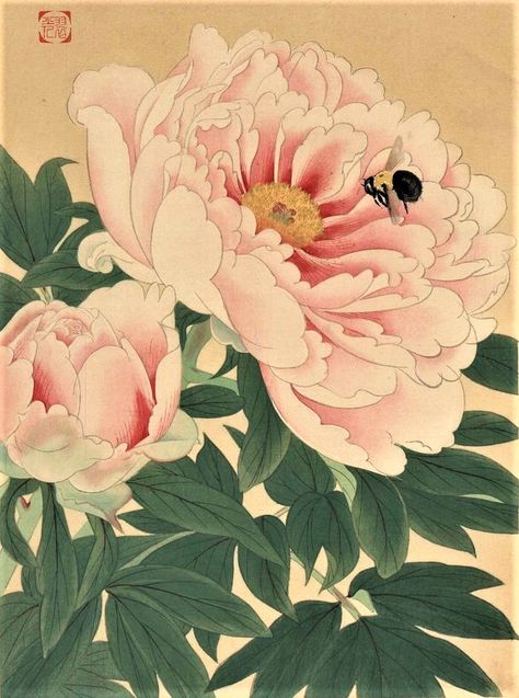 From the heart of peony The bee is coming out, With what a regret! (Matsuo Basho, 1644-1695)  Image: Fukuda Suiko (1895-1973), Peony and bee, 1936, wood engraving // Fukuda Suiko (1895-1973), Peony and Bee, 1936, woodblock print Peony Drawing, Peony Illustration, Asian Flowers, Peony Art, Art Chinois, Japanese Drawings, Bee Tattoo, Japanese Flowers, Art Japonais