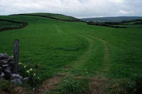 Irish Fields, Irish Childhood, Carribean Blue, County Clare Ireland, Background Inspiration, Clare Ireland, National Poetry Month, Poetry Month, County Clare