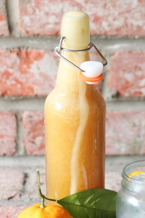 Kefir Soda, Kefir Recipes, How To Make Orange, Homemade Soda, Probiotic Drinks, Water Kefir, Milk Kefir, Fermentation Recipes, Homemade Syrup