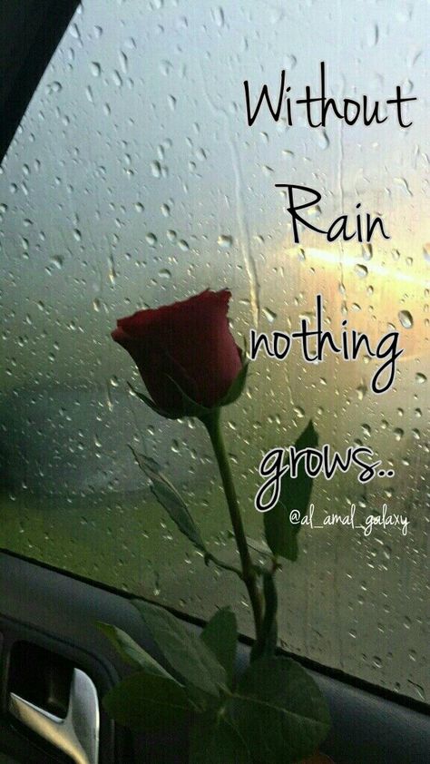 #without rain nothing grows #al_amal_galaxy Rain Quotes Rainy Days, Raining Day Quotes, Happy Rain Quotes, Rain Thoughts, Rain Images, Group Quotes, Rain Cartoon, Rainy Good Morning, Rain Poems