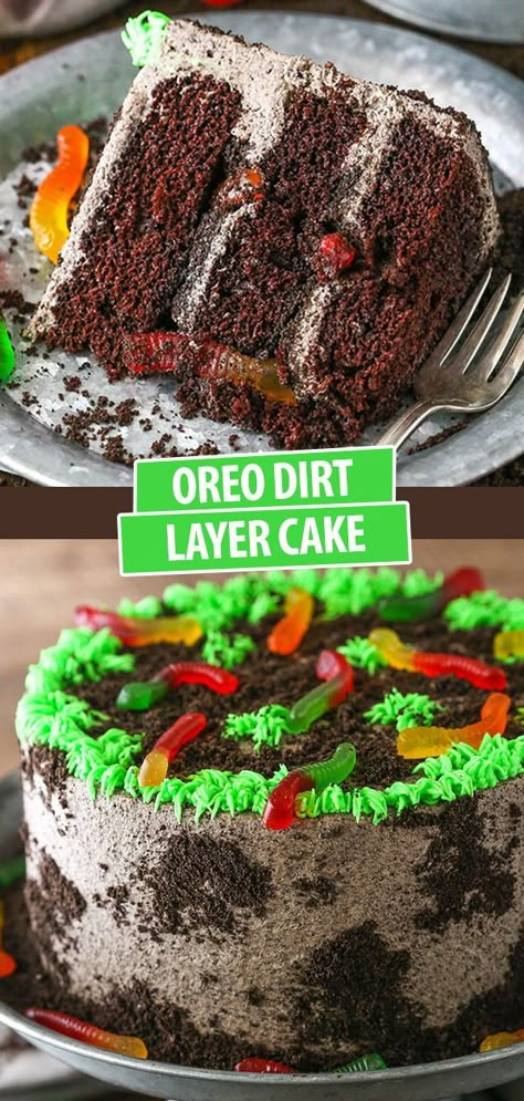 Gummy Worm Dirt Cupcakes, Layered Dirt Cake, Loaded Birthday Cake, Birthday Dirt Cake, Dirt Worm Cake, Dirt And Worms Cake, Bug Cakes For Boys, Cake Flavors For Kids, Gummy Worm Cake