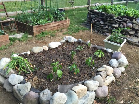 Simple River Rock Raised Bed Rock Planter Beds, River Rock Raised Garden Bed, Rock Raised Beds, Rock Raised Garden Beds, Raised Rock Garden Beds, Homeschool Hygge, Rock Garden Beds, River Plants, Stone Raised Beds