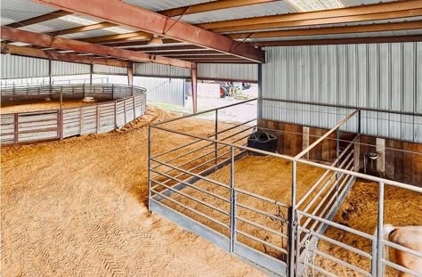 Small Horse Stable Ideas, Horse Boarding Facility Ideas, Horse Stall Ideas Diy, Horse Barns Ideas, Show Cattle Barn, Horse Farm Layout, Livestock Barn, Barn Layout, Horse Farm Ideas