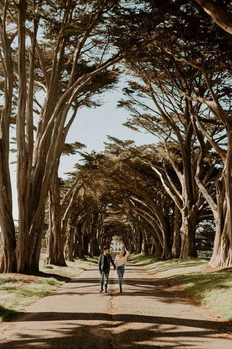 Cypress Tree Tunnel, Point Reyes California, Point Reyes National Seashore, Best Weekend Getaways, City Engagement Photos, Point Reyes, California Engagement, San Francisco Wedding, Engagement Inspo