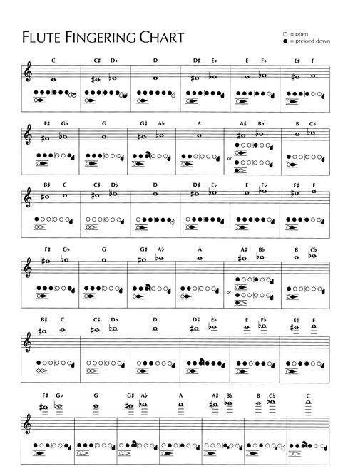 Learn How To Play The Flute, Flute Note Chart, Flute Chords Chart, Flute Fingering Chart, Flashcards Free Printable, Flute Lessons, Flute Problems, Flute Sheet Music, Band Nerd