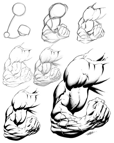 Anatomy and Action Poses | Here is a step by step on drawing stylized arm anatomy Anatomy Arms Drawing, Muscular Arms Drawing, Anatomy Muscles Drawing, Arm Perspective Reference, Arm Proportions, Arm Muscle Reference, Torso Anatomy Drawing, Art Fundamentals Practice, Arm Muscles Anatomy