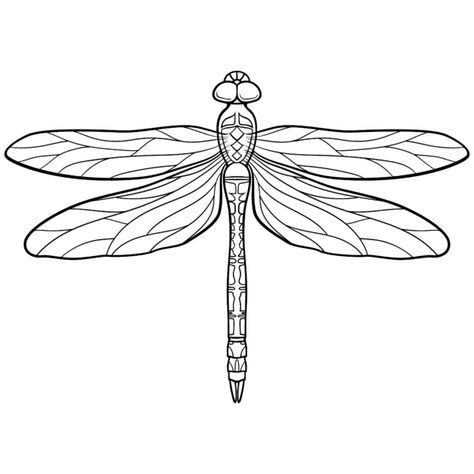 Coloring Pages in Pigment Stained Glass Dragonfly Tattoo, 3d Pen Stencils, Dragonfly Artwork, Dragonfly Images, Dragonfly Drawing, Insect Coloring Pages, Butterfly Music, Coloring Book Download, Dragonfly Insect