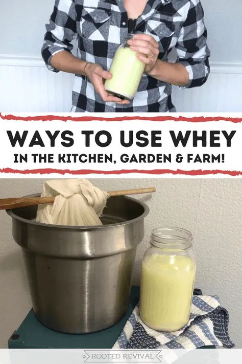 Recipes Using Whey From Cheese, Ways To Use Whey, How To Use Whey, How To Use Whey From Yogurt, Recipes Using Whey, What To Do With Whey, Whey Uses, Uses For Whey, Ancestral Eating