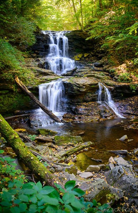 Ricketts Glen, Pennsylvania Drive Across America, Ricketts Glen, Blackwater Falls State Park, Forest Glade, Blackwater Falls, Forest Waterfall, Garden Waterfall, Amazing Nature, Natural Wonders