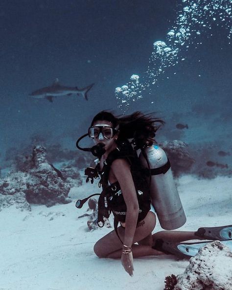 Maggie Wilson on Instagram: "Can’t wait to fly to Komodo next week with the Bali fam for a couple of days of diving. Fingers crossed we get to see some mantas and sharks!🖤" Scuba Diving Shark, Woman Scuba Diving, Scuba Dive Aesthetic, Scuba Pictures, Scuba Diving Aesthetic, Diving Aesthetic, Diving Pictures, Diving With Sharks, Ocean Diving